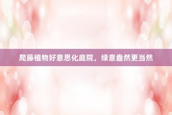 爬藤植物好意思化庭院，绿意盎然更当然