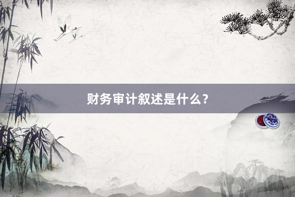 财务审计叙述是什么？