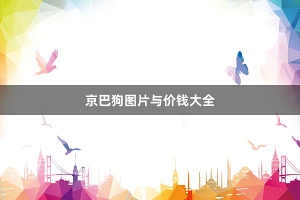 京巴狗图片与价钱大全