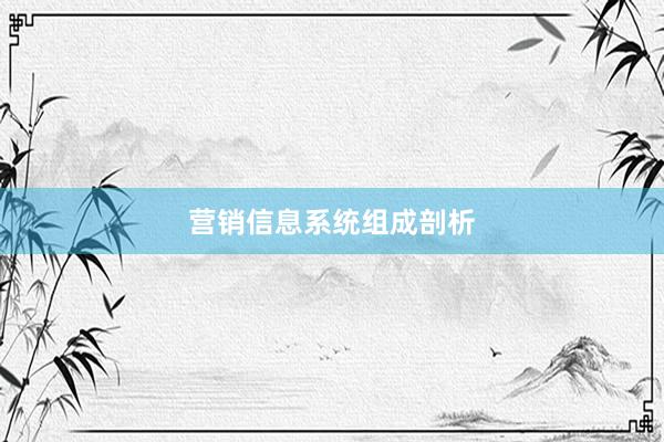 营销信息系统组成剖析